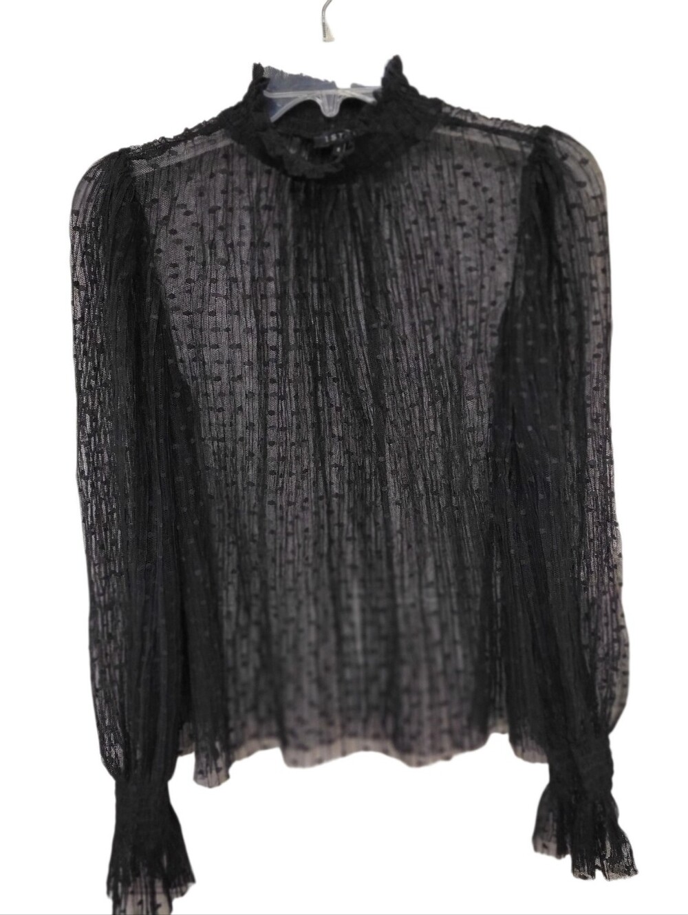 Whimsigoth witchy women's dark romantic sheer lace blouse Small mock neck